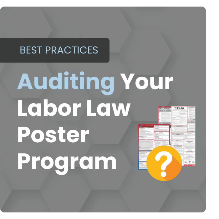 Labor Law Poster Auditing Kit