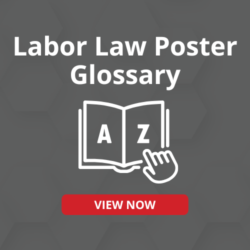 GovDocs Labor Law Poster Store