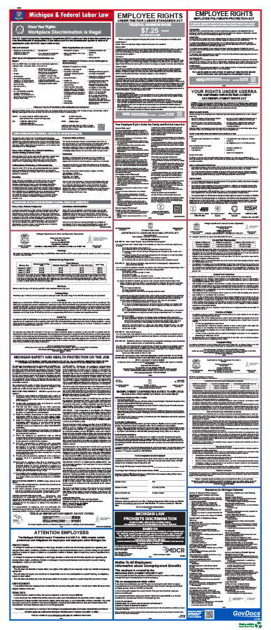 Product: Michigan and Federal Combined Poster Kit