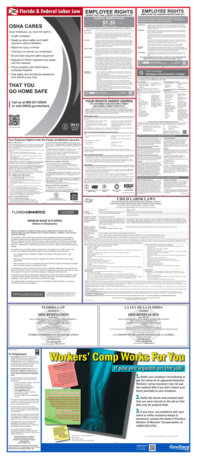 Product: Florida and Federal Combined Poster Kit